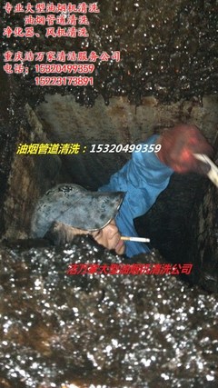 专业家政服务 工厂食堂、大型油烟机与渝中区排烟管道清洗