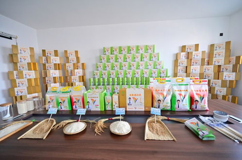 走进沈阳绿色工厂 揭秘餐桌背后的安全守护者