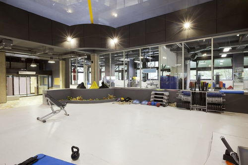 上海松江区运动用品制造企业盘点与用工指南