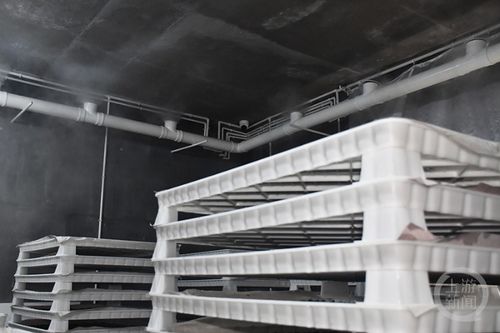 智能共育工厂 蚕宝宝住进“别墅”，还有“保姆”贴心照料