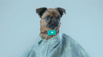 TraCy Tracker 一只贴心又智能的宠物保姆